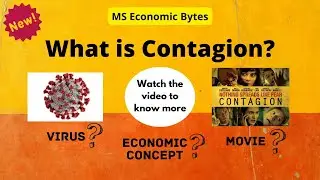 What is Contagion | Learn New Terms | Economics Dictionary | MS Economic Bytes