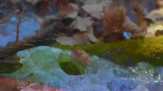 ming kurray - a e r o p l a n e