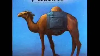 Pleasure - My Love
