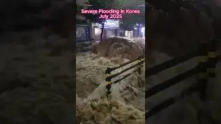 South Korea Flood Crisis #shorts #flooding #Korea