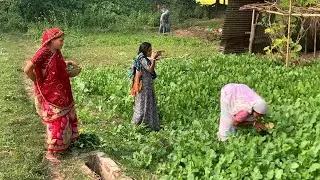 এই যে রায় বাড়ির ভিলেন দুইটা এসে পড়ছে