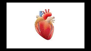 BM GATE - ECG,EMG,EEG,EOG