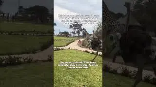 The giraffe was frightened and ran in fear, knocking into that little girl #viraltiktok