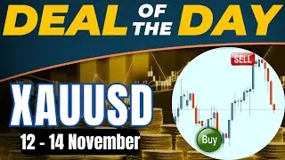 🟩 XAUUSD Deal of the Day: Could this be a good sell opportunity? 12 - 14 Nov