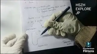 EXTERNAL AUDITORY CANAL IN  EASY WAY