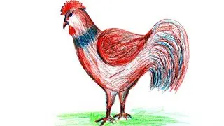 Wood Pencil Art,,Realistic Drawing a Cock step by step,, 3D chicken art