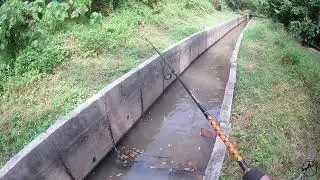 mancing haruan longkang
