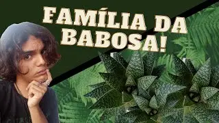 Suculentas - Parte 03: Fam&iacute;lia Asphodelaceae