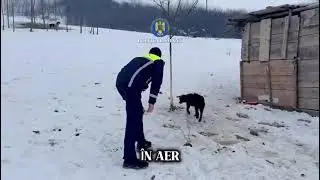 PROTEJAREA ANIMALELOR &Icirc;N SEZONUL RECE : ACȚIUNI ȘI RECOMANDĂRI ALE POLIȚIEI