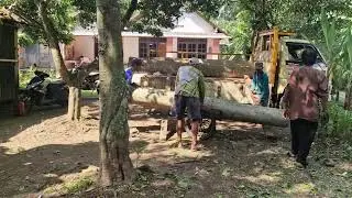GENIUS WORKERS TRANSPORT LOGS WITH JUST SIMPLE TOOLS! - Agriculture Farming