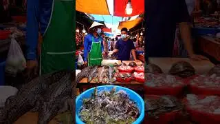 Rural Street Market Food Tour | Trying Exotic Fruits, Grilled Meats & Local Snacks