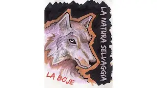 LA BOjE- ViDEO LA NATURA SELVAGGIA