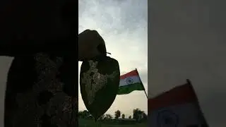 Indian Map on Leaf art by my brother Sathwik