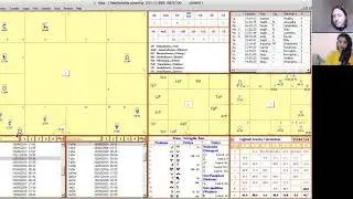 Looking at a Birth Chart for Relationship Indicators, with Levi Cosijn
