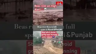 High Alert‼️Beas Rives Flooded 🌊 #himachal #punjab #flood #landslide #monsoon #travel #dangerous 💀