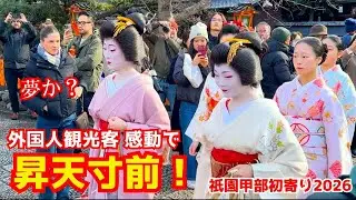 お姫様ですか？舞妓さんを生まれて初めて見た外国人観光客が喜びのあまり舞が上がる！祇園甲部の初寄り2026！京都旅行