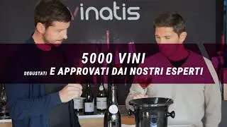 Vinatis: Vini, Champagne e Distillati Selezionati da Esperti dal 2002 🍷