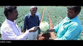 Climate Resilient Technology in Chittoor dt