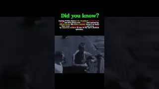 The Day George H. W. Bush Was Shot Down Over Japan