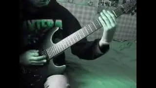 The Essential Salts - Nile (Guitar cover)