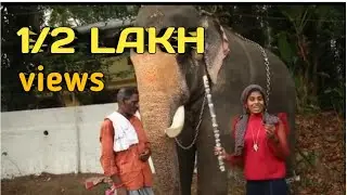 ആറാട്ട്പുഴ പൂരത്തിന് വന്ന ഊട്ടോളി അനന്ദന്റെ വിശേഷം EPISODE :2 /AARATTUPUZHA POORAM EPISODE :2