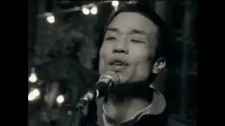 Husking Bee - You Came Back (PV)