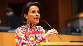 Chrysoula Zacharopoulou&nbsp;debates the Parliament's proposals on EU-Africa Strategy