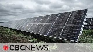 Alberta puts pause on new renewable energy projects