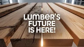 Future of Wood: Lab-Grown Lumber Debunked