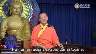 Cum ne putem îmbunătăți metabolismul?