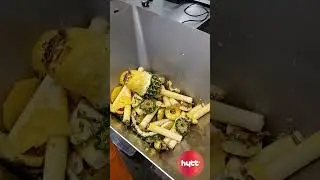 HYTT ananas afval &ndash; pineapple waste &ndash; Ananasabfall (vacuum transport | conveying | Vakuumtransport)