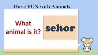 Scrambled Words | Fun with Animals| Animal Test