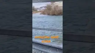 Amazing Enns River here in Steyr Austria #Shorts