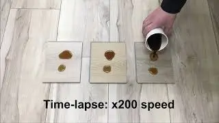 Will It Stain? Watch Cola & Coffee Put to the Test in 20 Minutes!