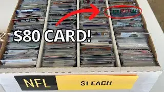 Digging through the dollar boxes for bargains!