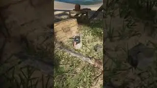 Easter egg I found Wilson !! stranded deep