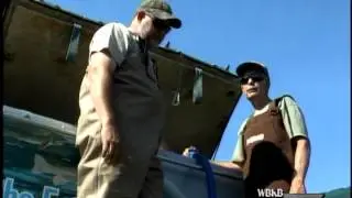 DNR Completes Walleye Harvesting and Stocking