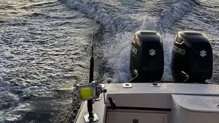 Bimini Wahoo/Deep-Drop Trip
