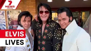 Elvis fans rock Parkes for the King's 91st birthday | 7NEWS