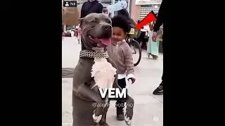 SIMPLESMENTE ABSURDO!😡#curiosidades #shortsfeed #shorts #shortvideo
