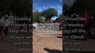 Best Disney Hacks for Saving Time and Money