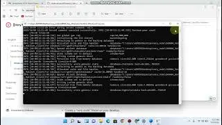 This is how to run your Very Node NFT on your PC (Laptop).