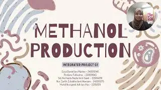 Integrated Design Project-Designing a Plant for Methanol Production