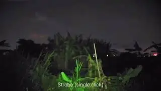 SomoGear PEQ-2A Red Laser Flashlight Version