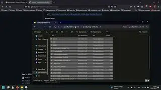 Ставим последнюю версию GoodBye DPI на Win 11