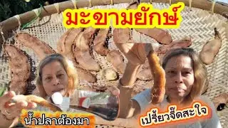 ขอบคุณพี่นก​ มะขามเปรี้ยวยักษ์​ แค่เห็นก็เปรี้ยวปาก​ สะใจจริงๆ​ ใครเปรี้ยวปาก​ มาเลยจ้า|14.1.2026