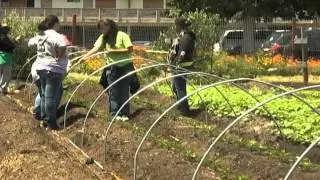 SLOW Food Documentary