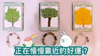 運勢塔羅占卜「什麼好運正在慢慢靠近」Tarot Reading💕🔮(三選一)(選一張牌)(有字卡)(不限時間)(個人占卜服務已開放~)