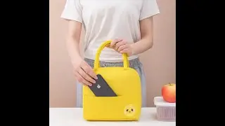 Portable Thermal Insulated Lunch Bag Thermo