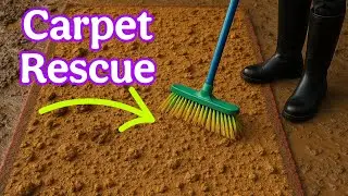 Extreme ASMR rug cleaning with high water pressure & scraper . ASMR Carpet cleaning.Very oddly😍